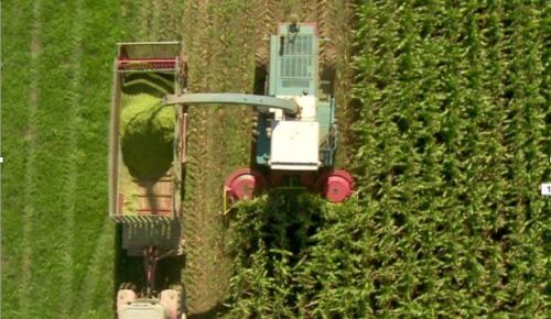 IBM lanza una plataforma de IA para agricultura disponible en M&eacute;xico