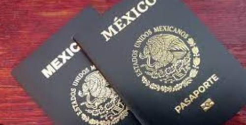 Pasaporte on line
